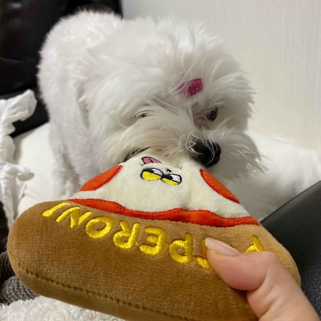 Almofadinha Petperoni