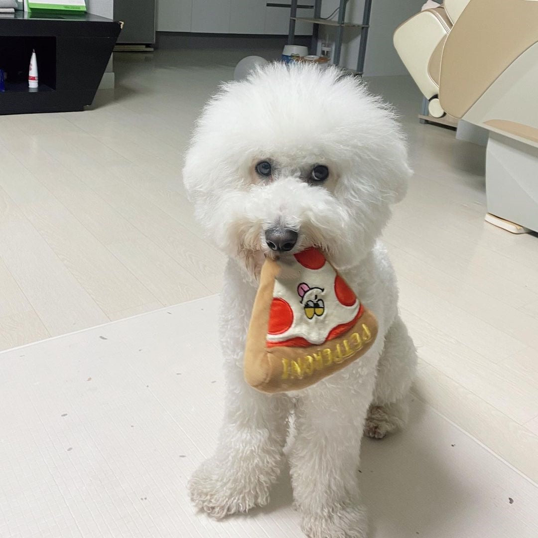 Almofadinha Petperoni