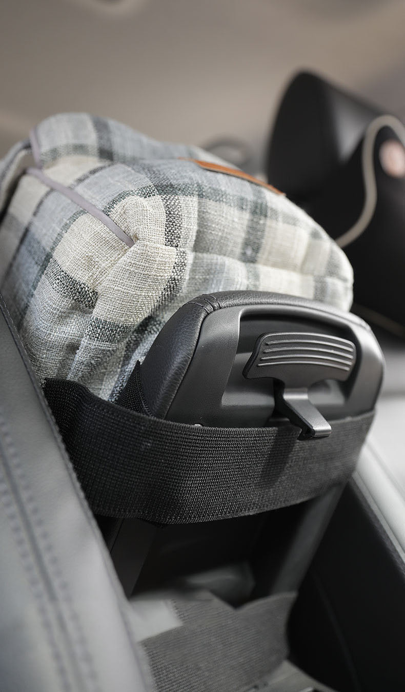 Assento de Carro Central Pet Last