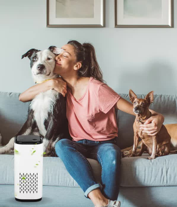 Purificador de Ar Pet Para Cachorro e Gato